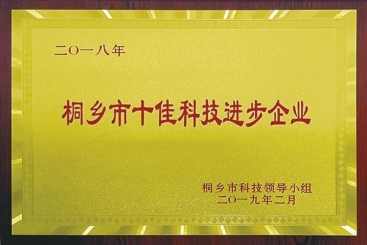 pg电子集团荣获2018年桐乡市十佳科技进步企业